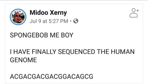 sponge dna